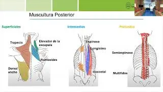 Nociones Básicas de Columna Vertebral (2022) - Dr. Facundo Álvarez