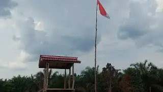burn banners and plant bananas in the new ume garden