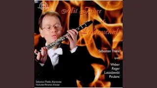 Grand Duo concertant, op. 48: I. Allegro con fuoco