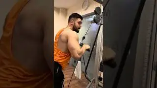 Triceps training