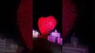 Surprise Decoration | Flower Decoration