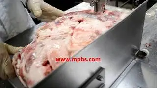 Pro-Saw SS20 Right Hand Meat Bandsaw Frozen Beef Block Demo - 323-268-8514