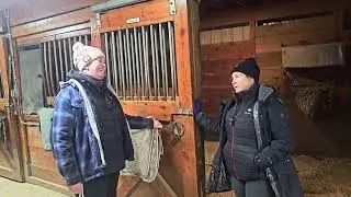 Megan&rsquo;s Original Stalls &ndash; Where It All Began | Barn Besties