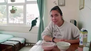 Kattenmelk │ Hapklare brokken #4