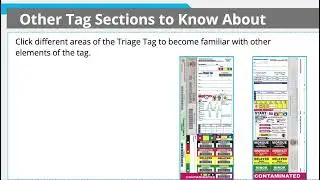 Wristband and Ambulance Receipt MCI Triage Tags