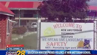 EDUCATION MINISTRY PROBES VIOLENCE AT NEW AMSTERDAM SCHOOL