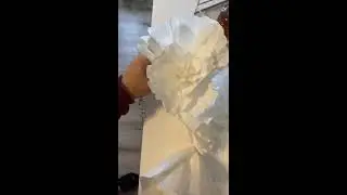 Reviewing Amazon white 3d Wall Paper Flowers: by INNOBOUTIQUE