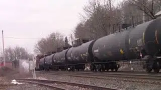 The Trains At West Springfield
