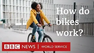 How do our brains remember how to balance on a bike? CrowdScience, BBC World Service