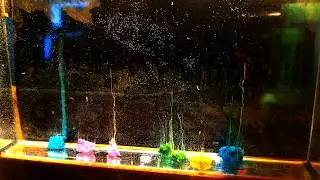 Crystal Farm Timelapse