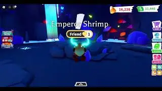 Mega emperor shrimp