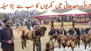 The Biggest Goat Fair in Jarai Rajdani#kotli Azad Kashmir SadafShahOfficial