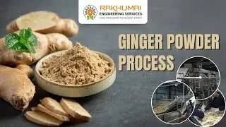 Ginger Powder Manufacturing Plant | Industrial Ginger Dry Slicing| Rakhumai Engineering
