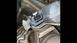 2019 SQ5 Audi Valve/Resonator Delete Cold Start