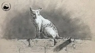 Drawing a Cat on Toned Paper in Pen & Ink - LiveStream #130