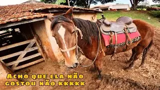 Dia de tirar a estrelinha do sossego kkkkkk (roçavlog)