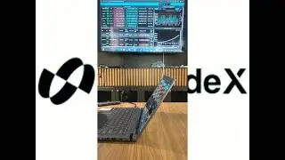 BITRADEX por Dentro 🔍 Opera&ccedil;&otilde;es do Rob&ocirc; 🤖 REVELADAS