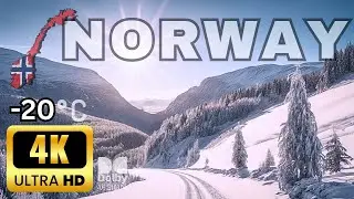 Pine Trees and Icy Rocks: Nordic Road Odyssey 4K