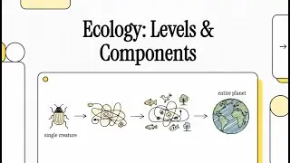 Ecology: Levels of Organization and Ecosystem Components