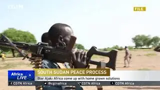 Analyst supports UN Security Council arms embargo