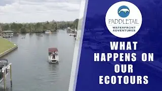 What Happens On Our Ecotours | Waterfront Adventures