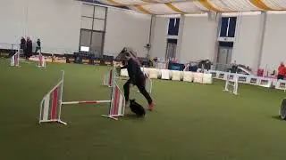 BASS Turnier 29.12.24 Gerald und Pace Jumping