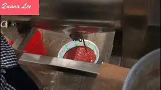 Fruit seed and pulp separation machine / fruit  and vegetable pulping machine hawthorn processing