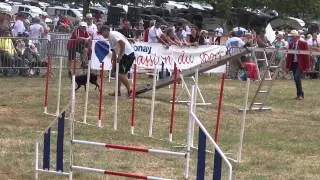 Elthon Agility 1 CDF 2014