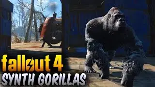 Fallout 4 Wasteland Workshop Secrets - How To Get Synth Gorilla Cages & Tamed Gorillas (DLC Secrets)