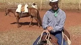Doma racional por Ant&ocirc;nio Carlos Silva (Americano)