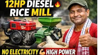 12HP Diesel Rice Mill 🔥 এটা ঘন্টাত ডাঙৰ উৎপাদন | কম খৰচত লাভজনক Rice Mill Business