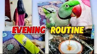 Pakistani Mom Daily Vlog | Evening Routine with My Family | Uzma Worlds