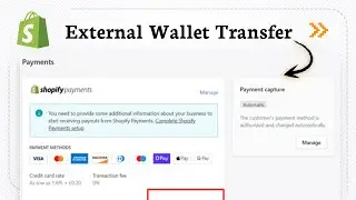 Как вывести деньги с Shopify на PayPal
