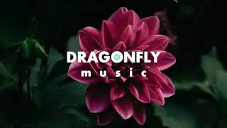 KSMK - Dream | 1 Hour Version