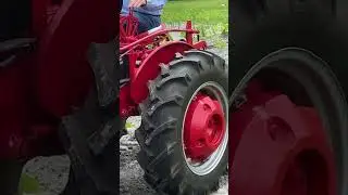 Farmer Bill got the Farmall out to plow the weeds this morning.