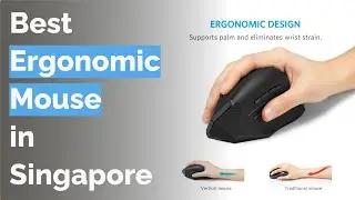 🌵 8 Best Ergonomic Mouse in Singapore