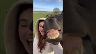Best smile in the pasture wins 🐎📷😂 She tried