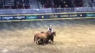 The Royal 2018- Guy McLean Full Performance Uncut, Great Seats and Audio