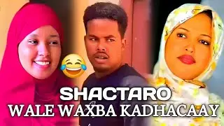 KULAHA HOOYO SHAR LAGUMA FAKIREE NIYADA QEYR USHEG WAXA LAGA YABA INU SHIIL GAARI GALAAY😂 | DAMEYSO 