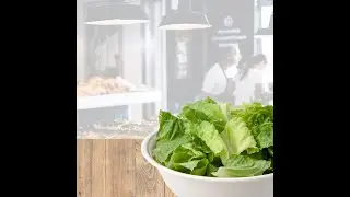 Plastic Container City Produce Containers