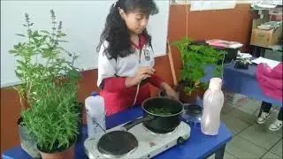 PROYECTO CIMMA 2025 PRIM. LUCIANO REBOLLEDO