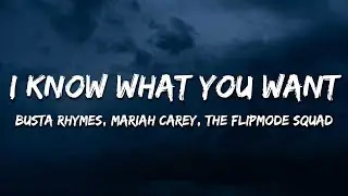 Busta Rhymes, Mariah Carey - I Know What You Want (Lyrics) ft. Flipmode Squad