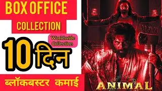 Animal Box office collection | Animal day 10 box office collection | Ranbir Kapoor movie