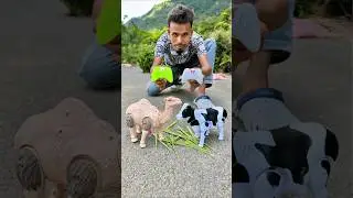 Deko Ekta RC Camel and Remote wala Cow Unboxing 😋