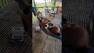 CHILL TIME AFTER A TRAIL WALK