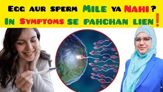 Very Early Pregnancy Symptoms! Early Pregnancy Sign Before Missed Period/ Pregnancy Ka Pahla Sign