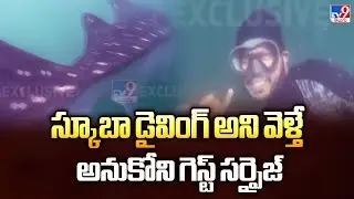 Scuba diving in Vizag : స్కూబా డైవింగ్&zwnj; అని వెళ్తే.. ఊహించని సర్&zwnj;ప్రైజ్  - TV9