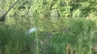 Winnegar Lake- Back End