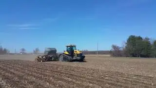 First strips of #plant17