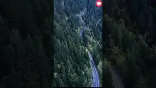 forest life #lovestatus #money #life #nature